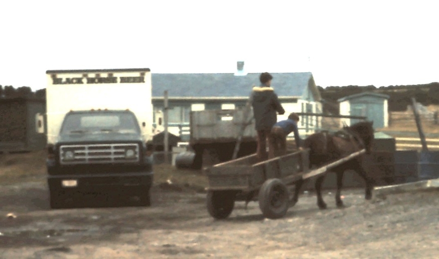 Horse and cart meets truck in St Bride's, Newfoundland, ca. 1975 / Aidan O'Hara