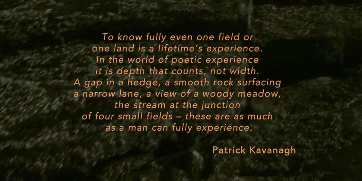 Duala Patrick Kavanagh Quote