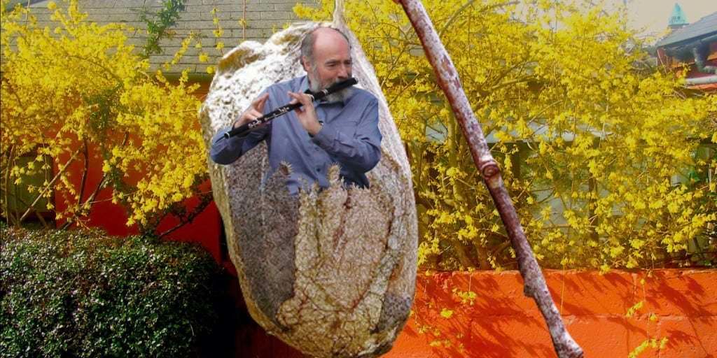 Fintan Vallely Cocoon Image